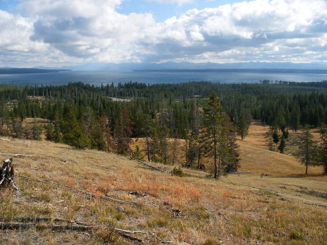 Hillside below the viewpoint