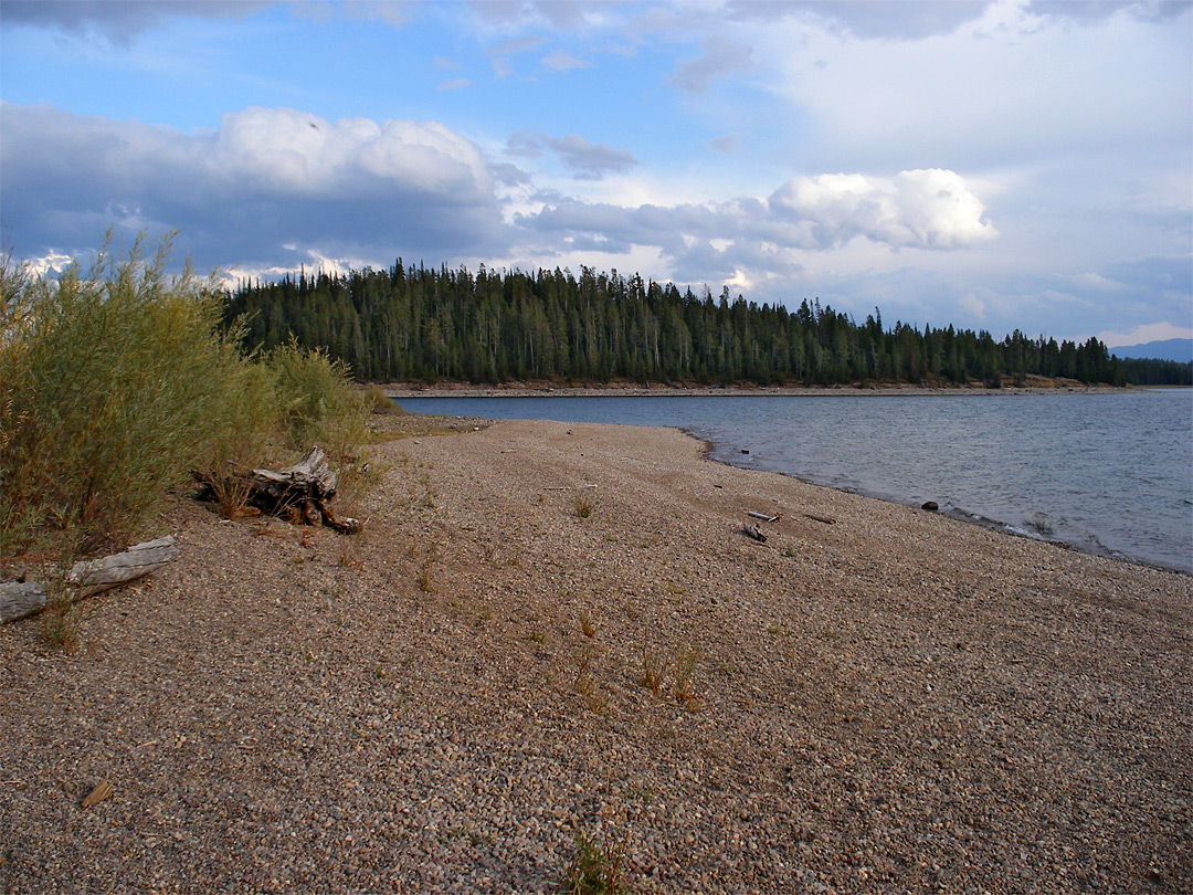 Stony beach