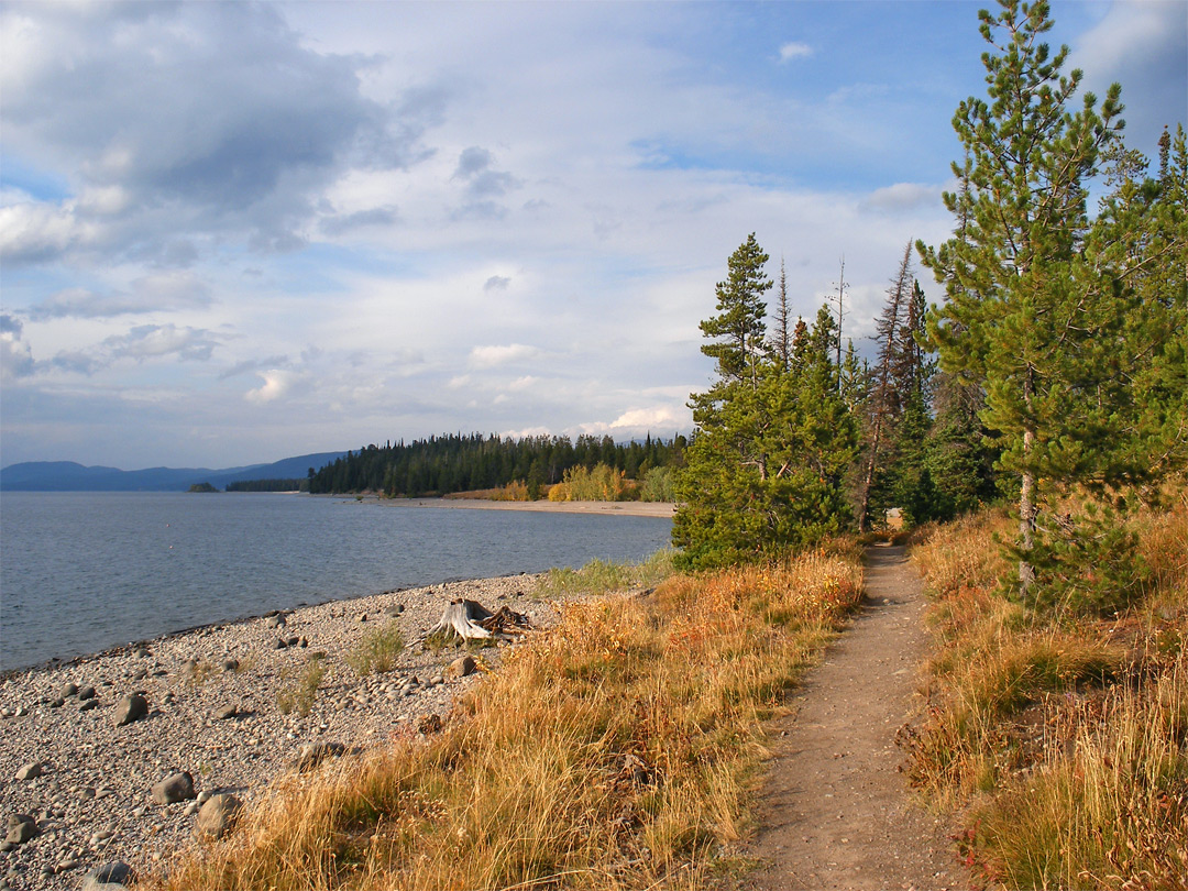 Path along the edge of Jackson Lake
