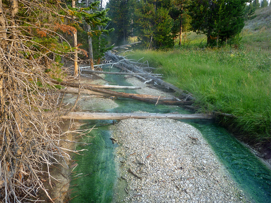 Blue-green water