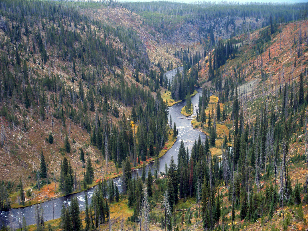 Lewis River Canyon