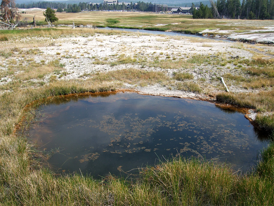 Liberty Pool