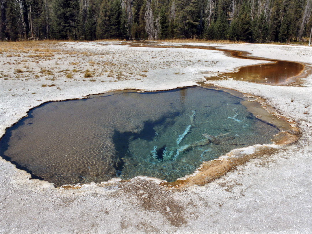 Clear pool