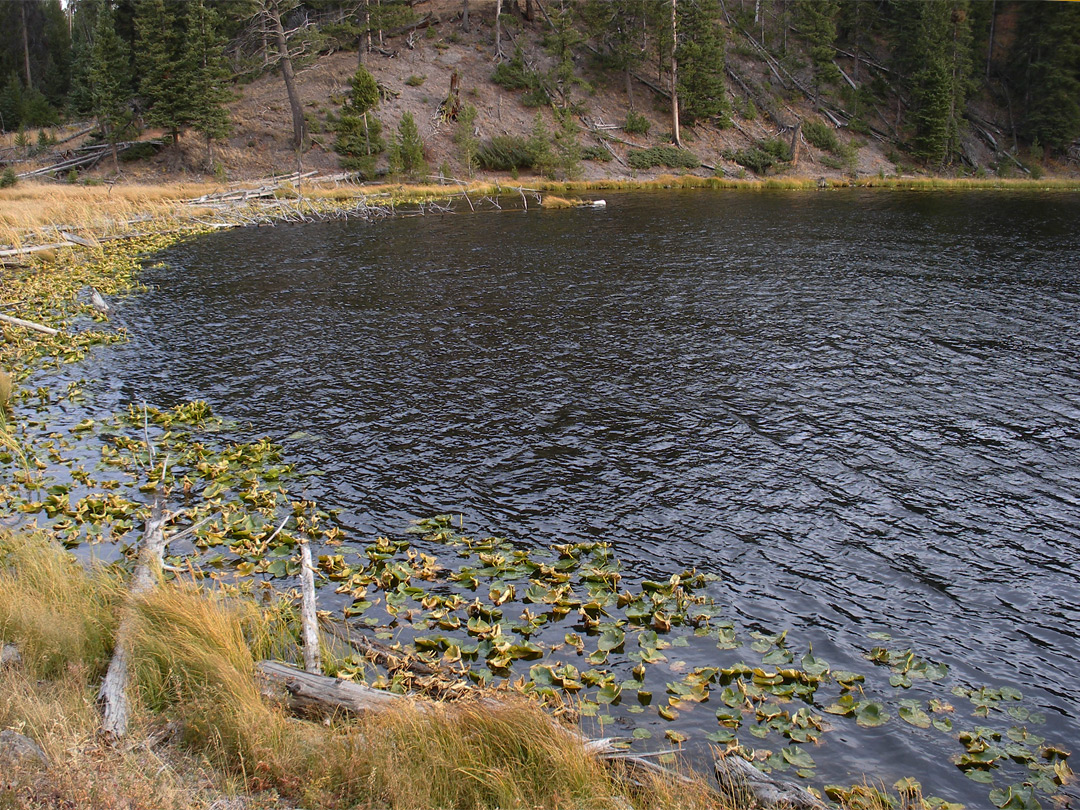 East end of the lake