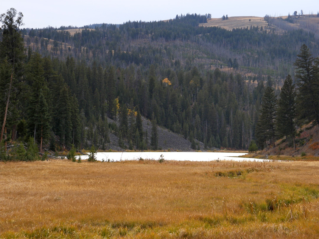 Meadowland by the lake