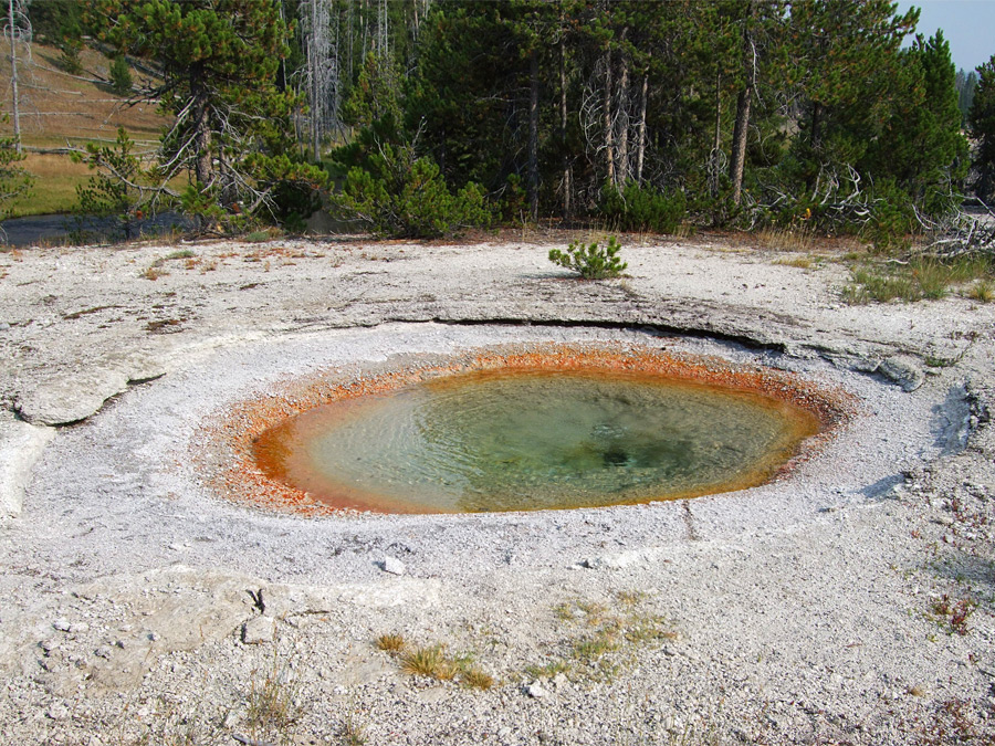 Marathon Pool