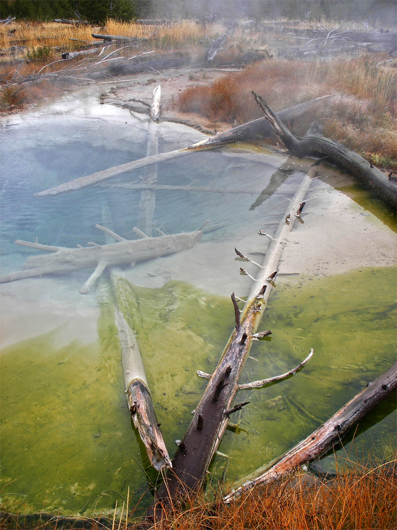 Logs in a pool