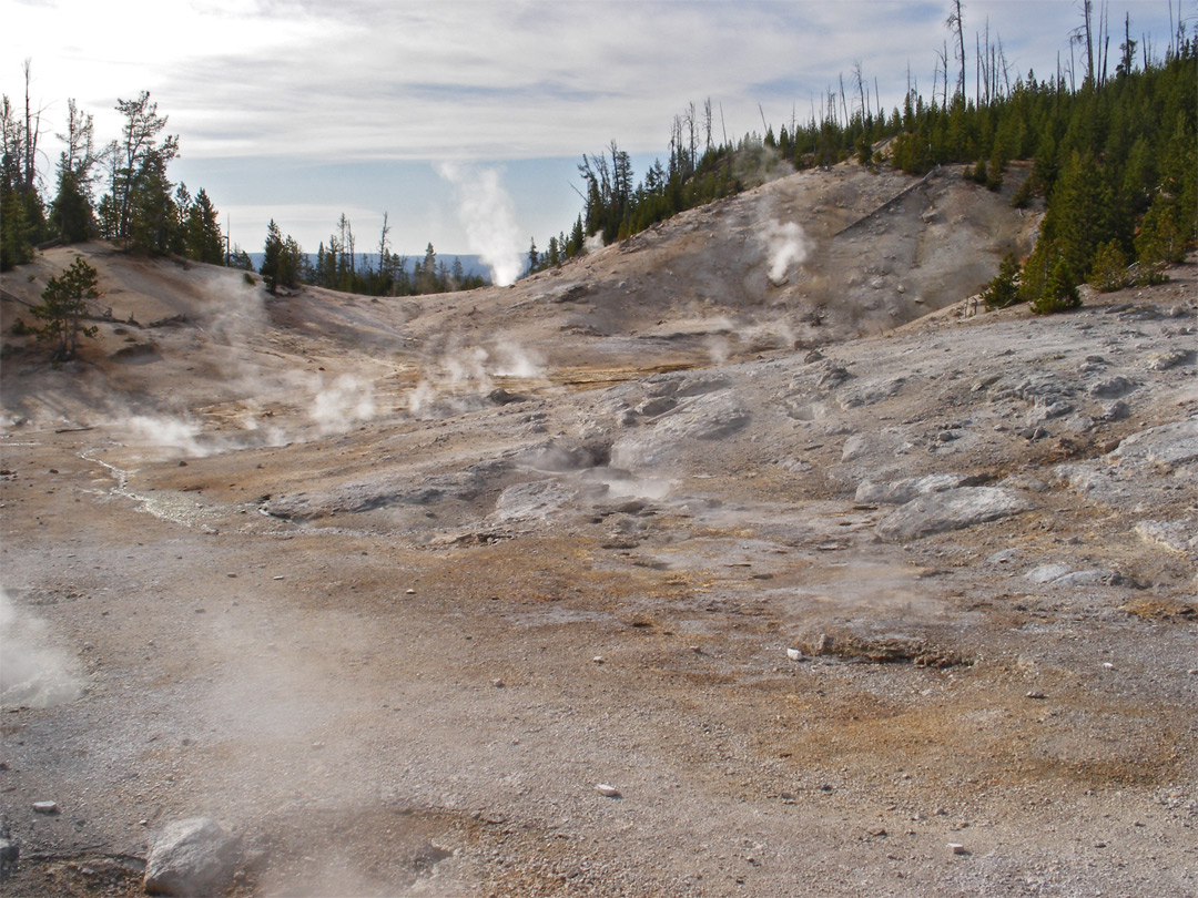 Steam vents