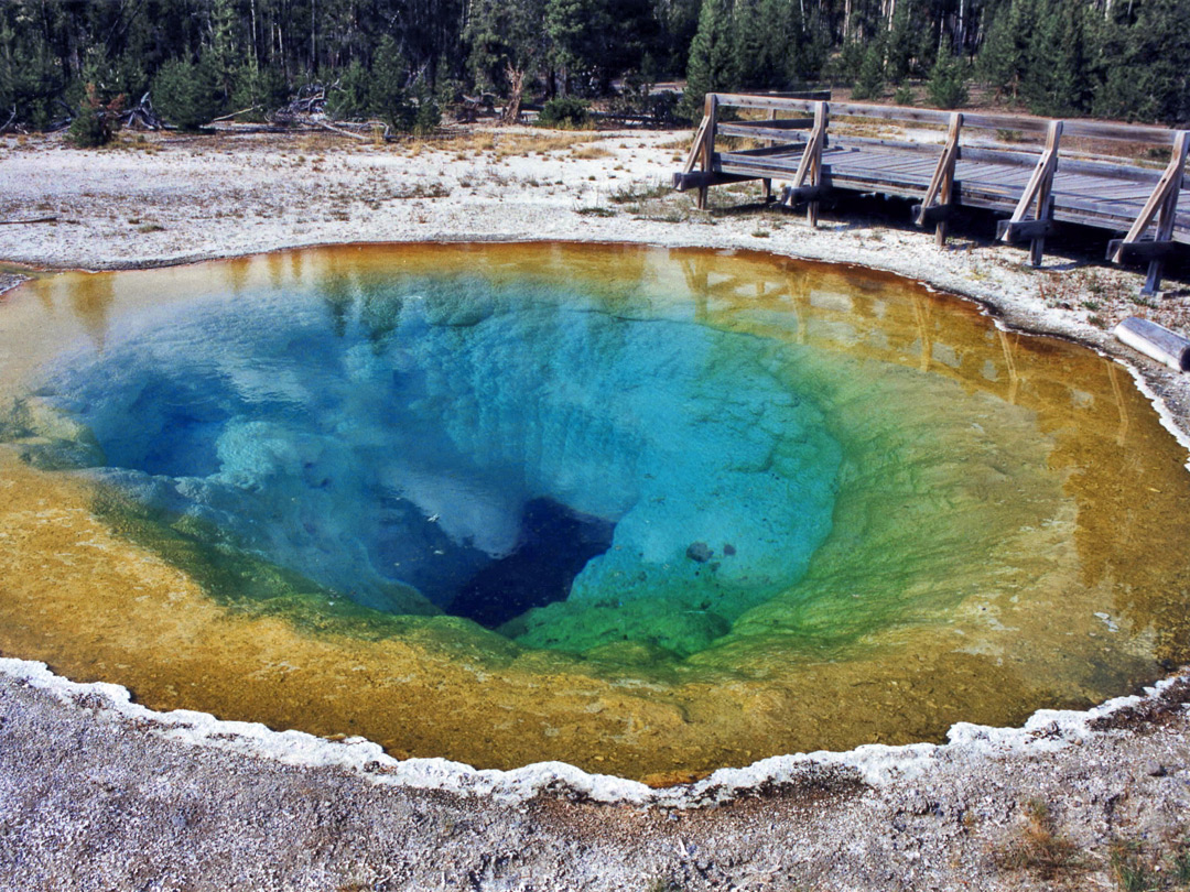 Morning Glory Pool: Upper Geyser Basin, Yellowstone National Park, Wyoming