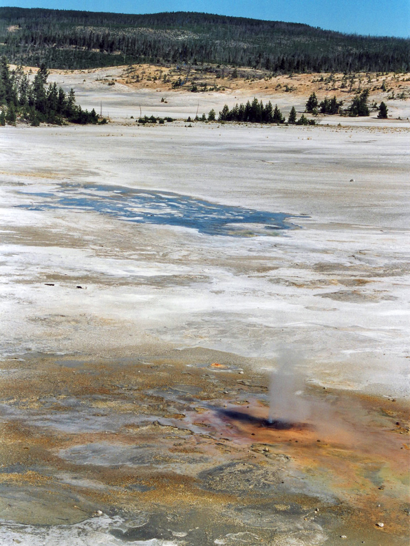 Geyser in Porcelain Basin