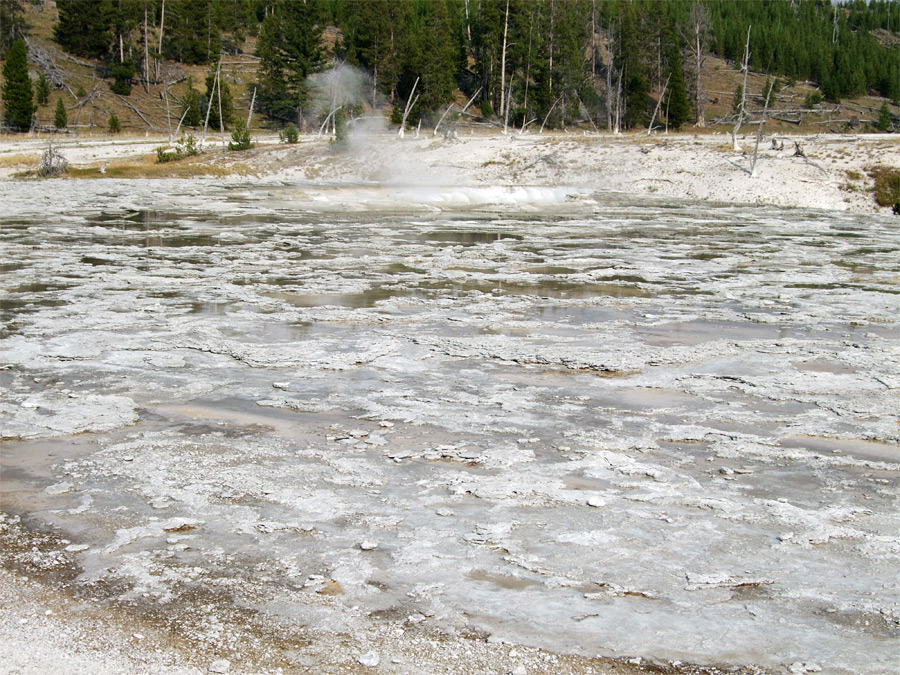 Oblong Geyser