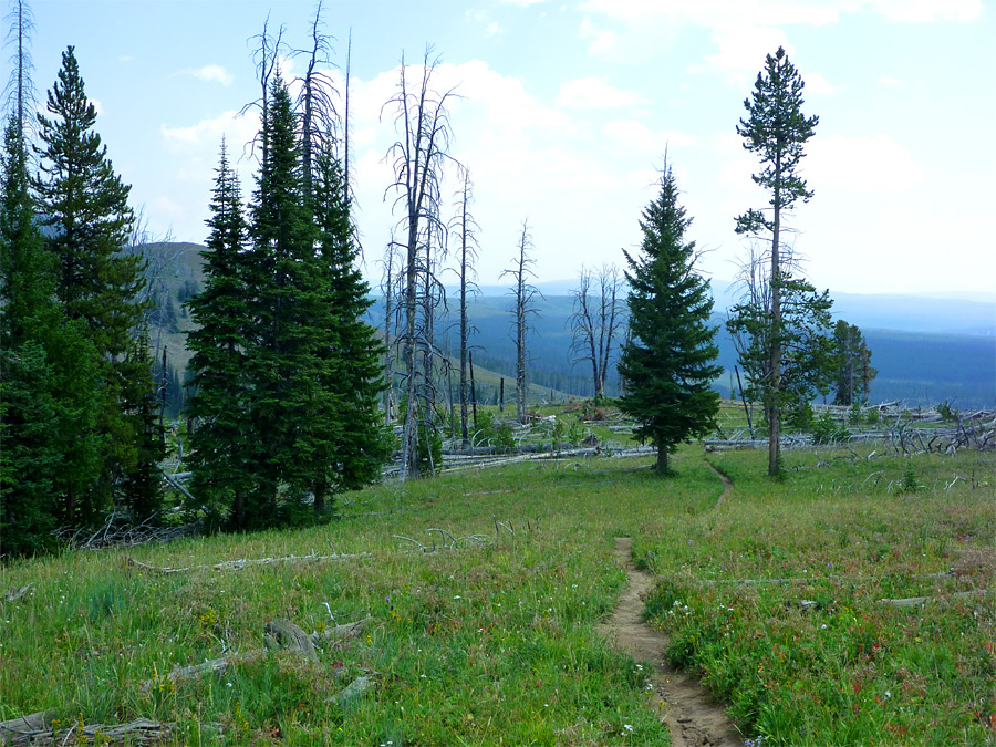 Grassy hillside Cascade Lake and Observation Peak Trails