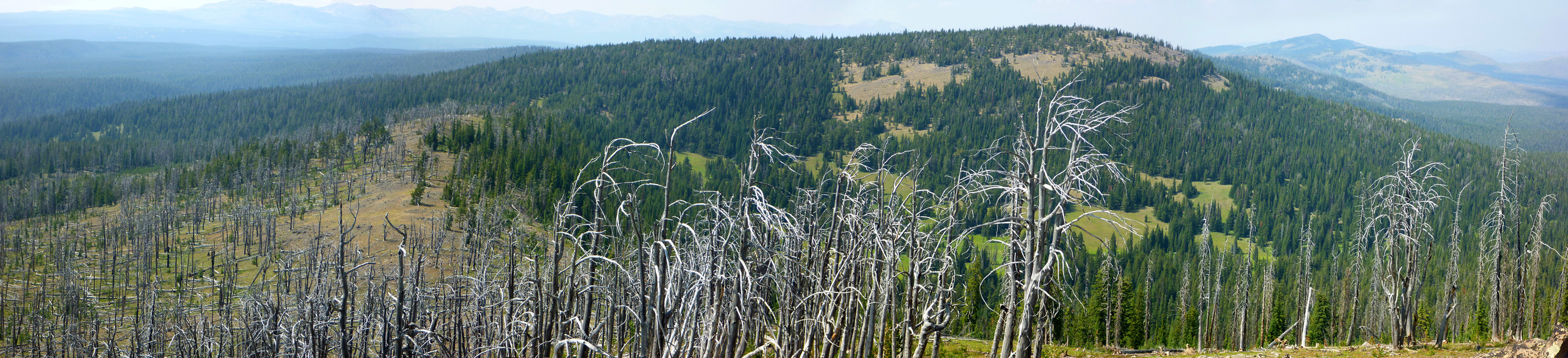 View west from Observation Peak