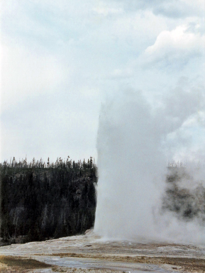 Cloudy day at Old Faithful Geyser