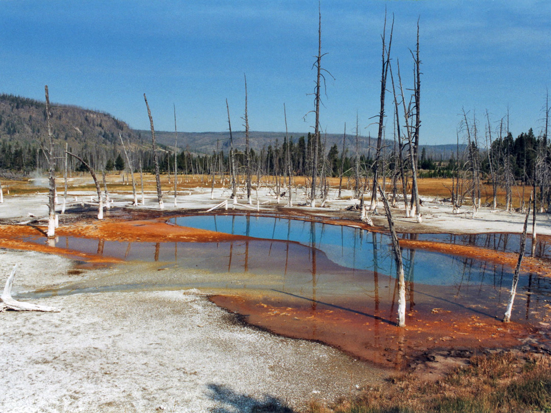 Opalescent Pool