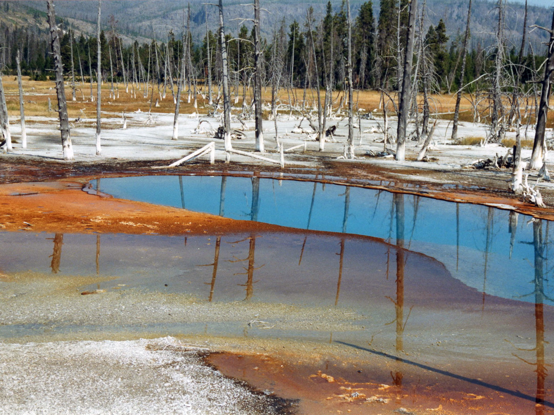 Opalescent Pool - close view