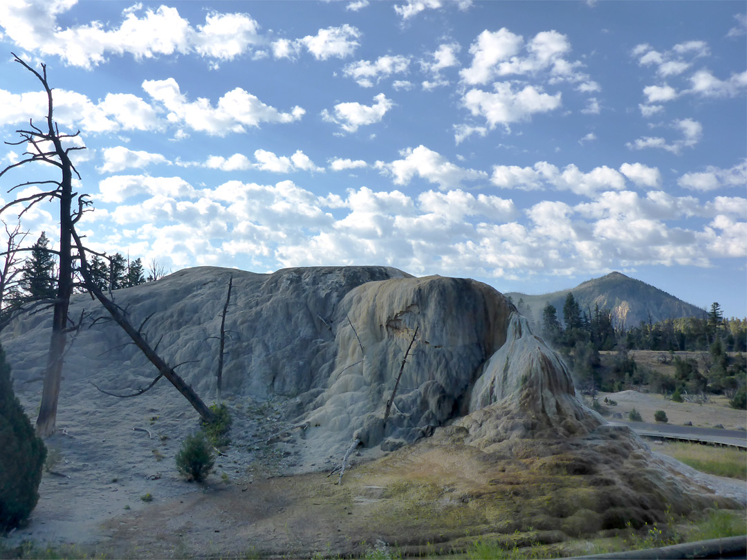 Orange Spring Mound