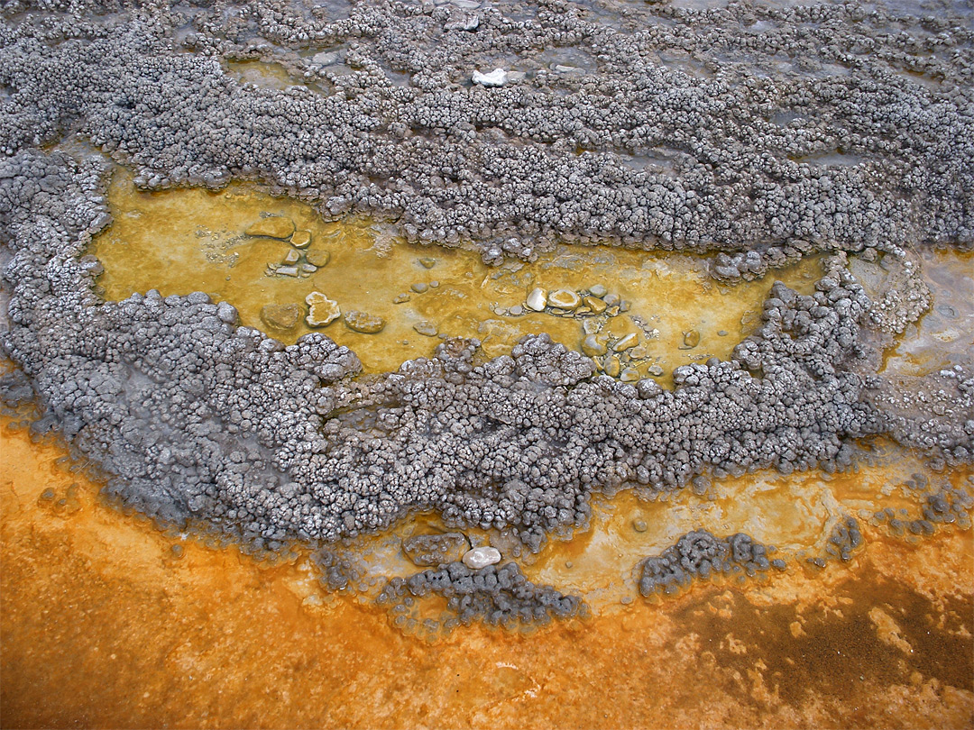 Sinter formations near Columbia Spring