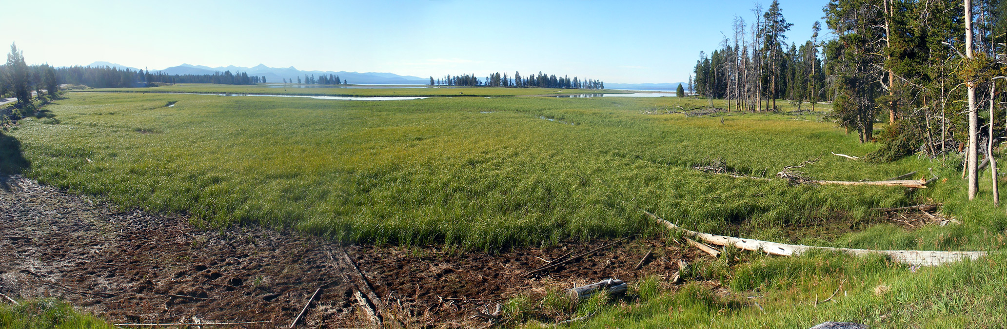 Meadow by the trailhead