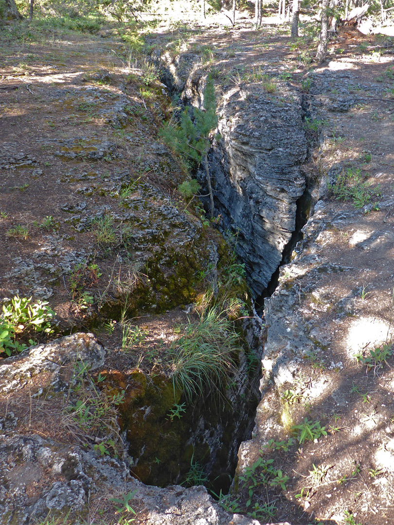 Above the fissure