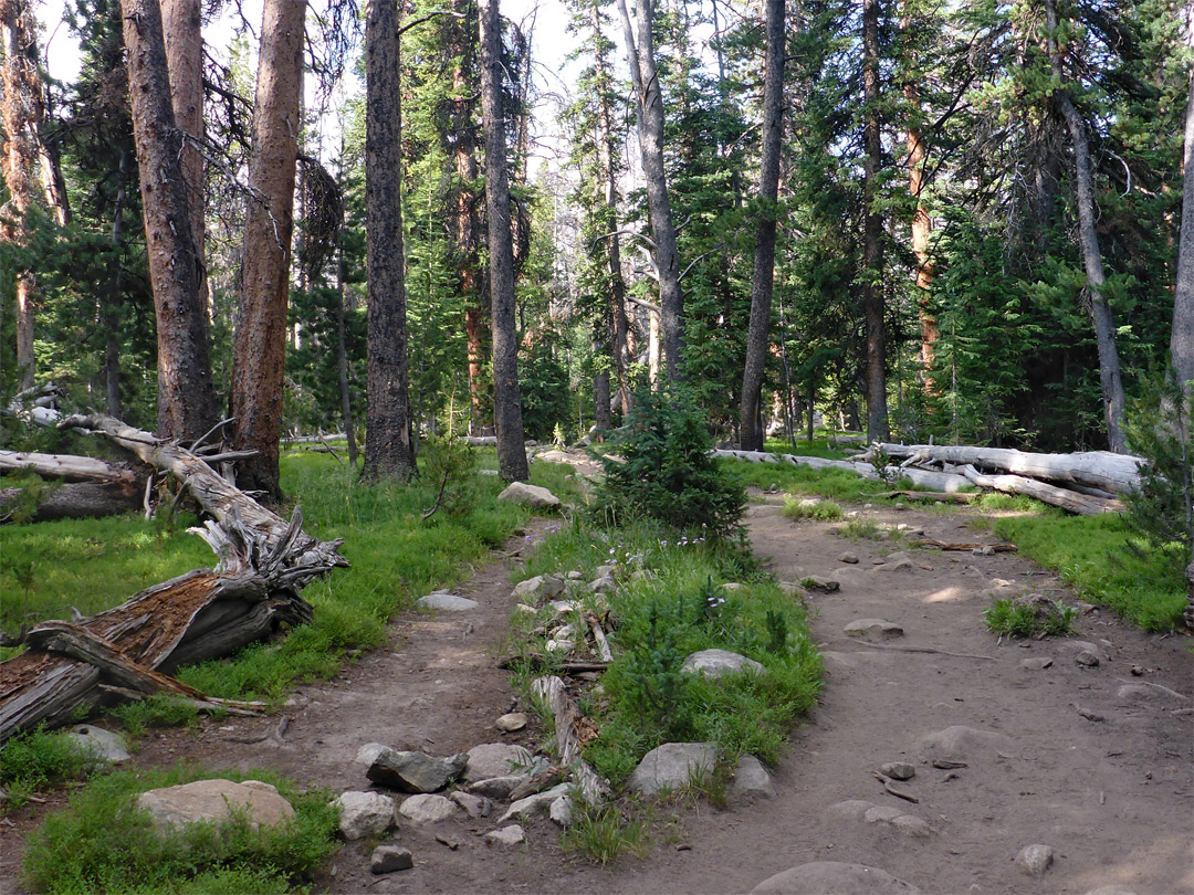 Pole Creek Trail