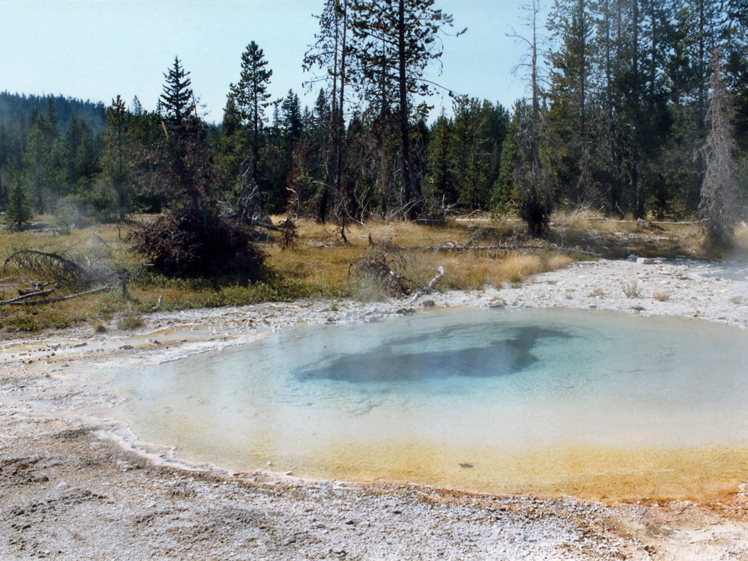 Pool in Potts Basin