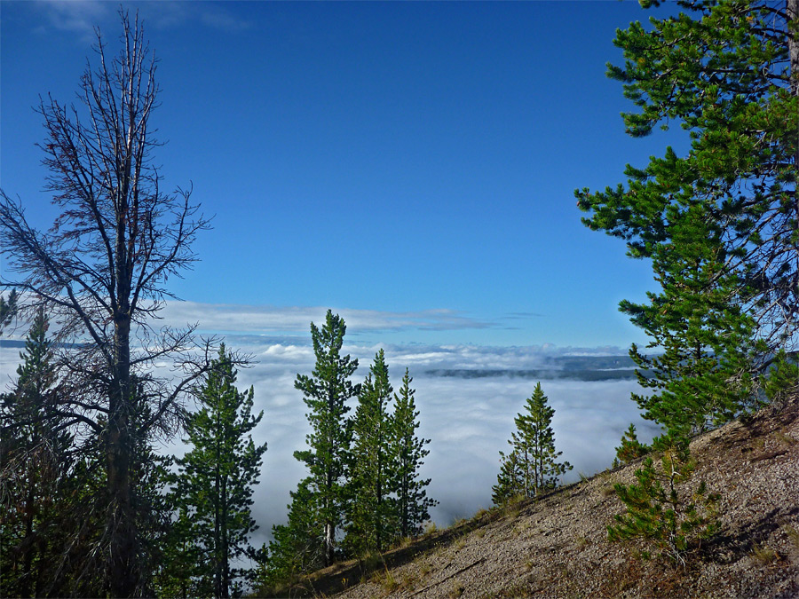 Edge of the mountain