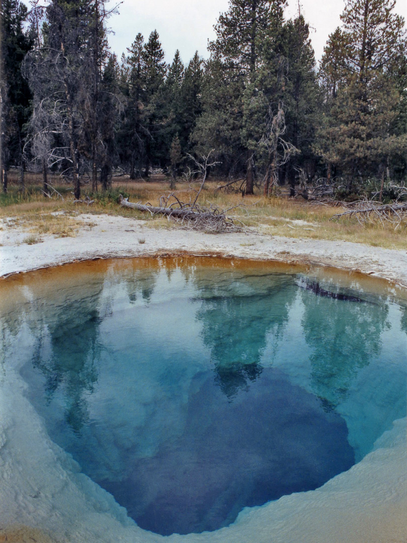 Quagmire Group - pool