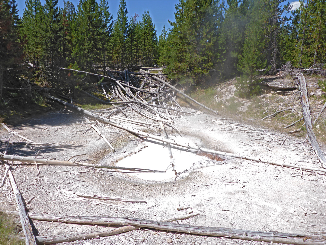 Whitish mud pot