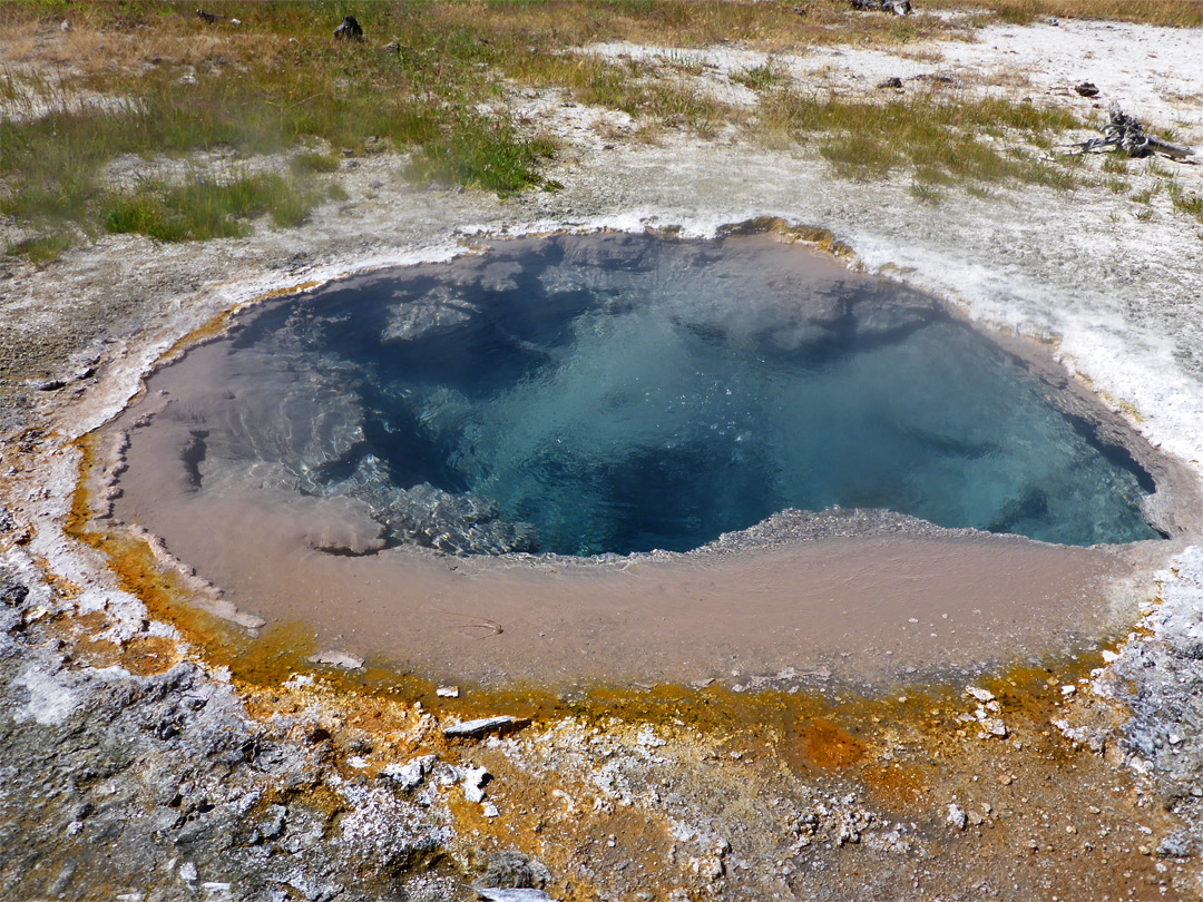 Oval pool
