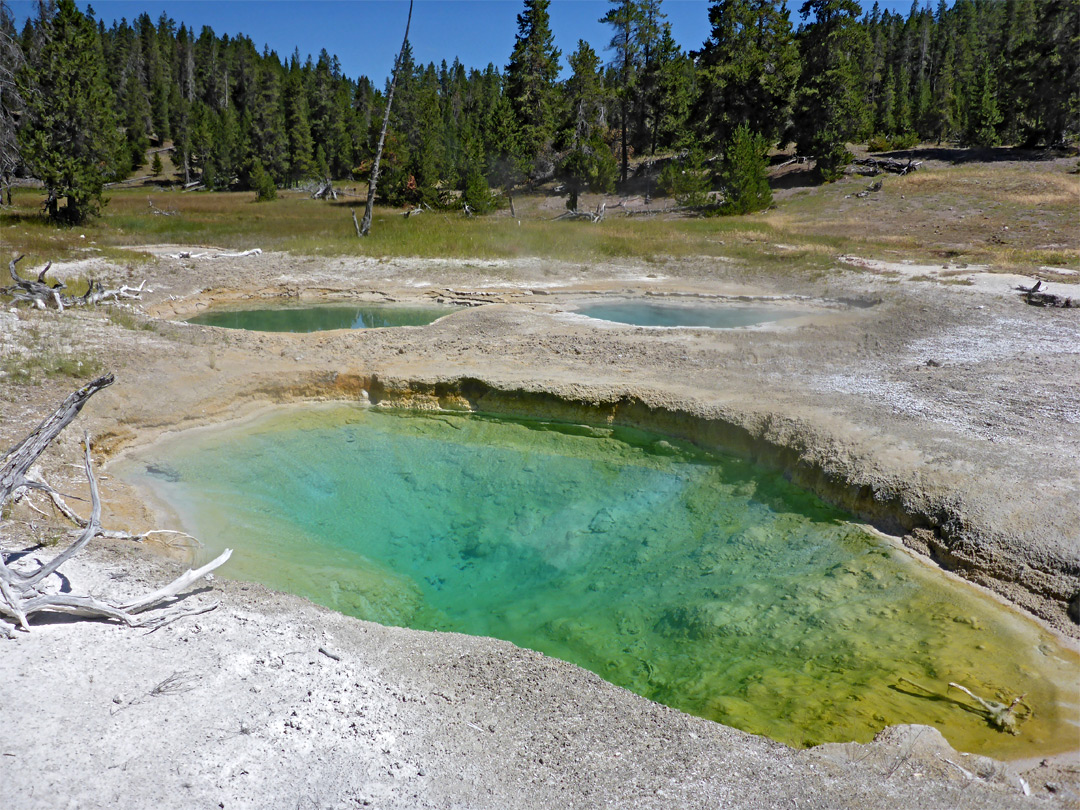 Three greenish pools