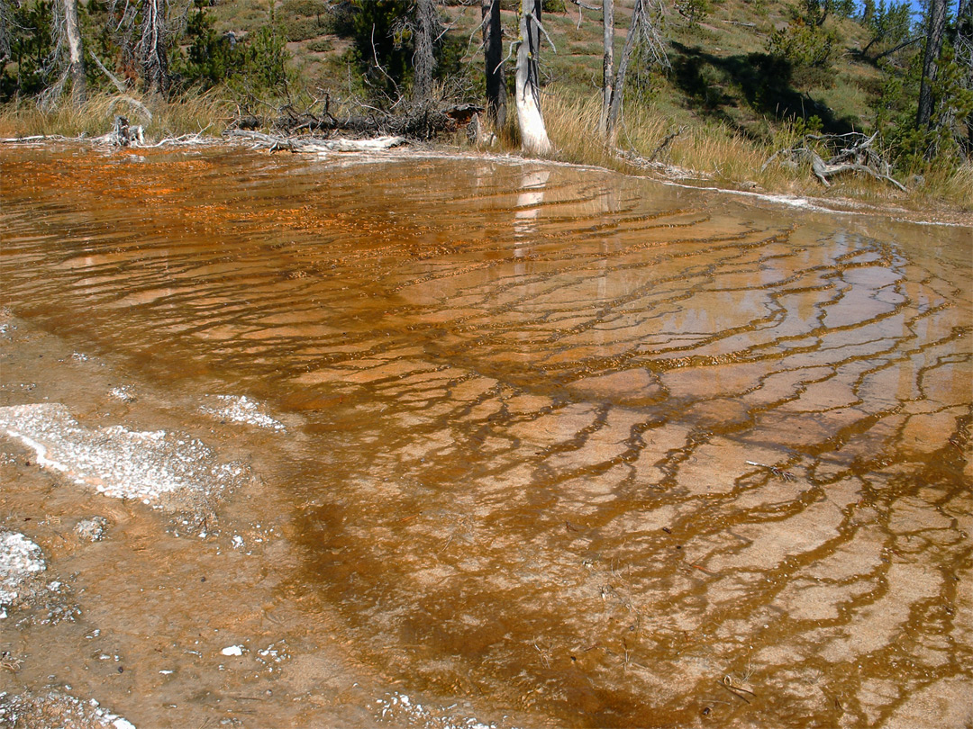 Red terraces