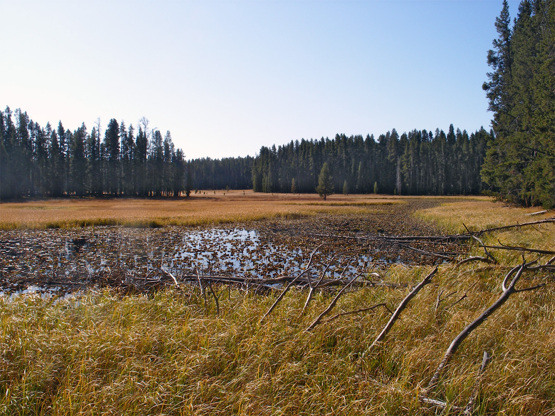 Ribbon Lake