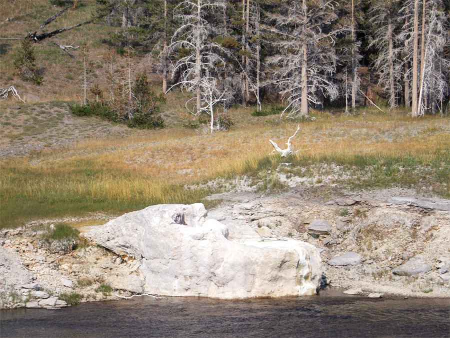 Riverside Geyser