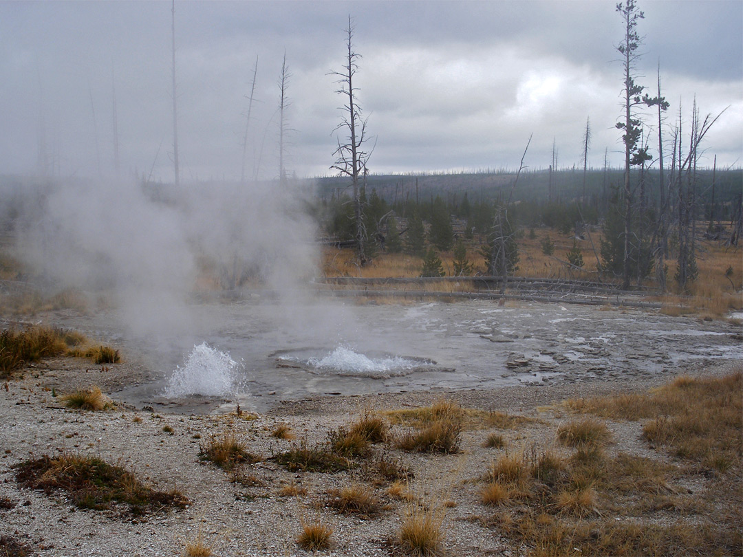 Vents erupting, near Rustic Geyser