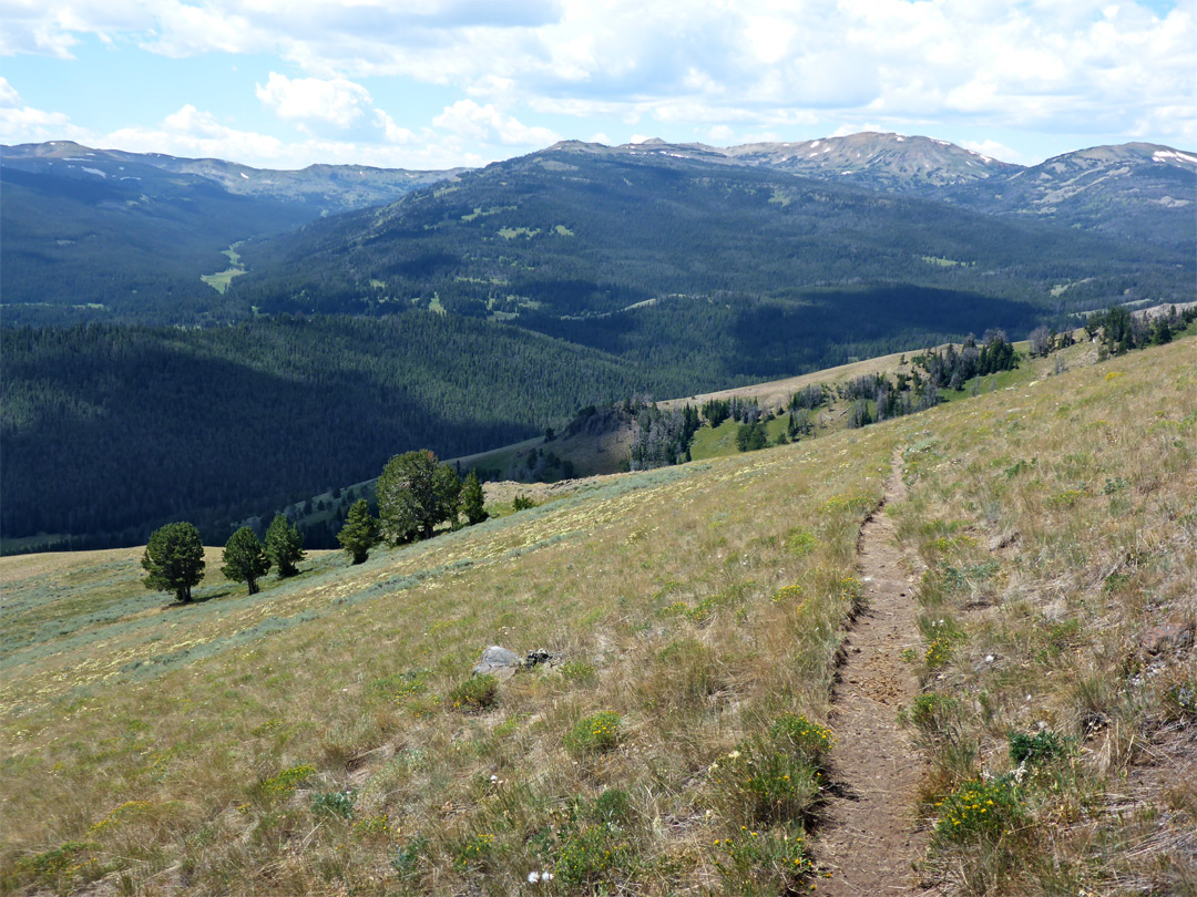 Path across the hillside