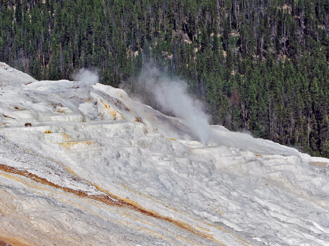 Steam vents