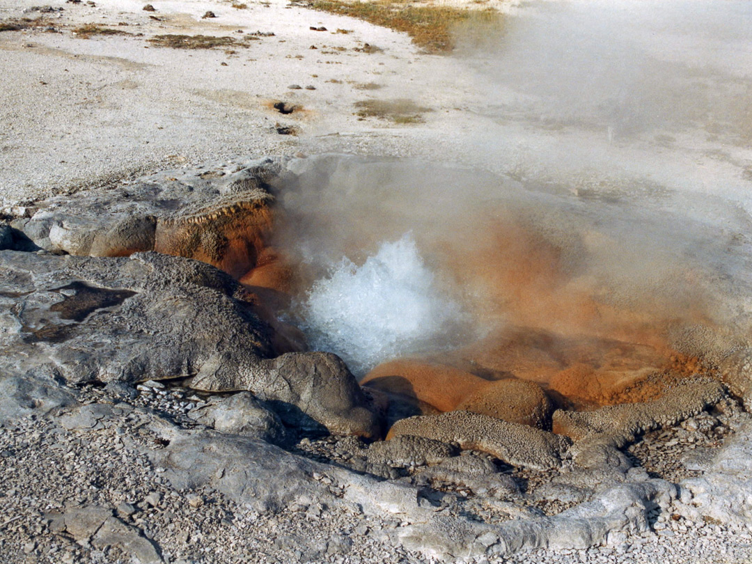 Shell Geyser