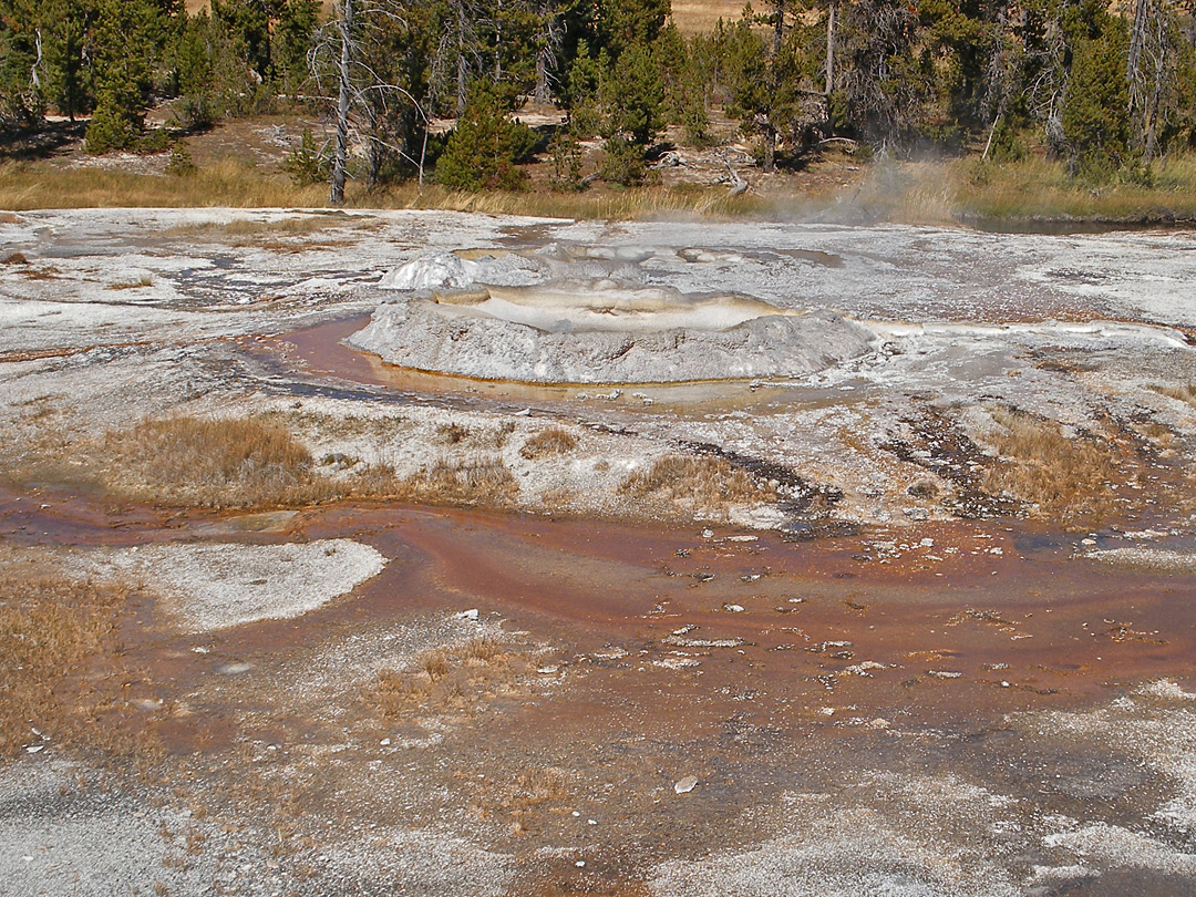 Shield Geyser