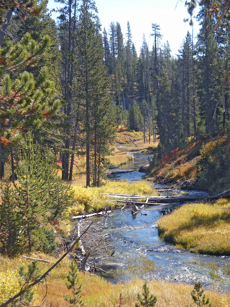 Shoshone Creek