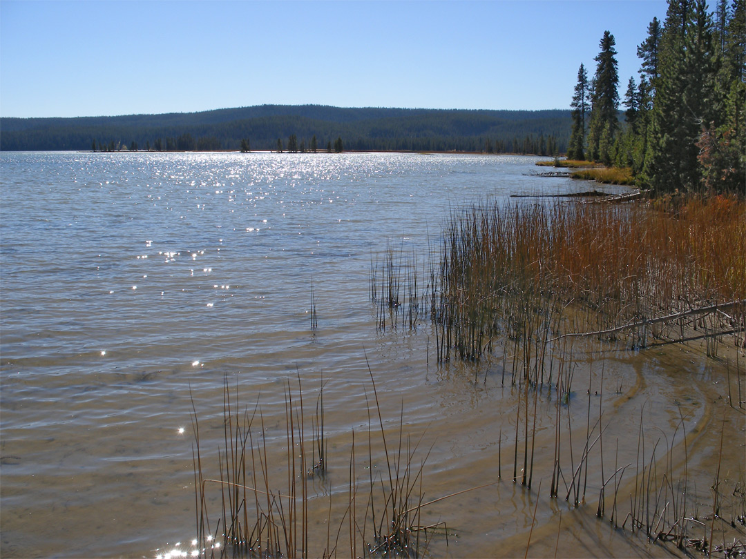 Shoshone Lake - south