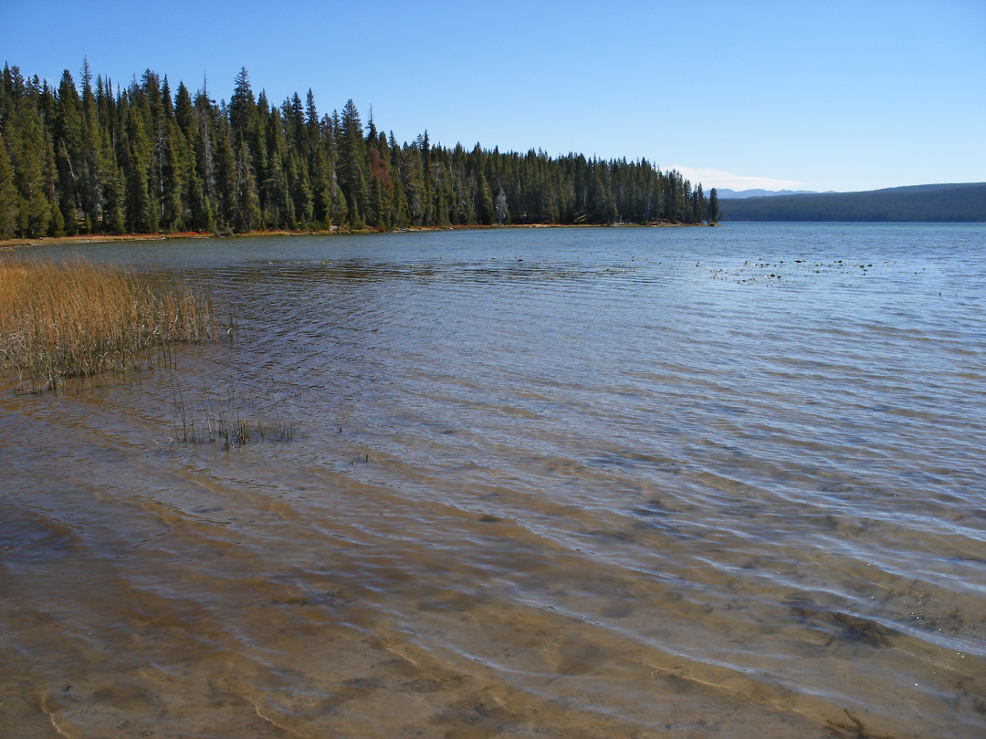 Shoshone Lake - west