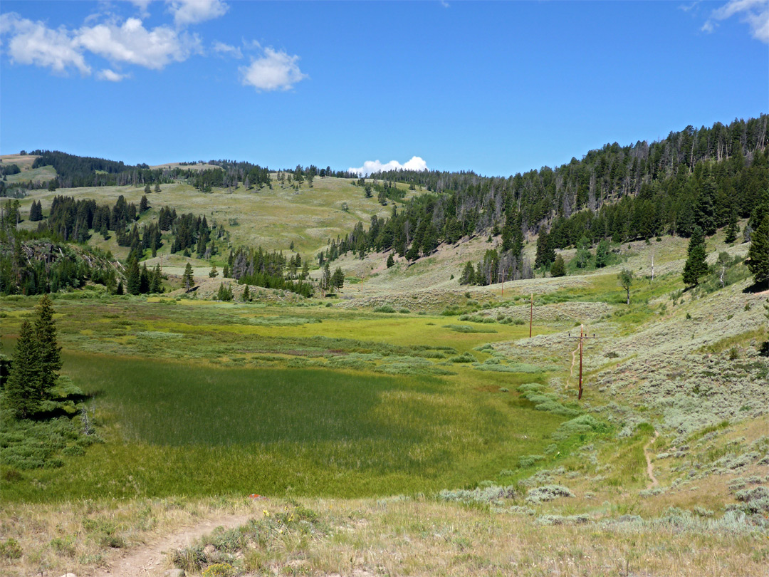 Meadow west of Snow Pass