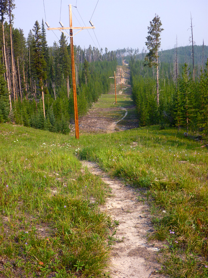 Straight path, beneath powerlines