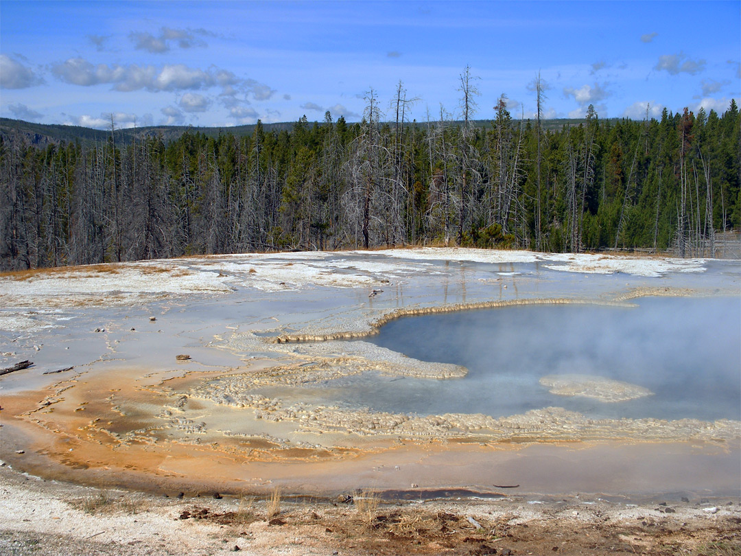 Sinter beside Solitary Geyser