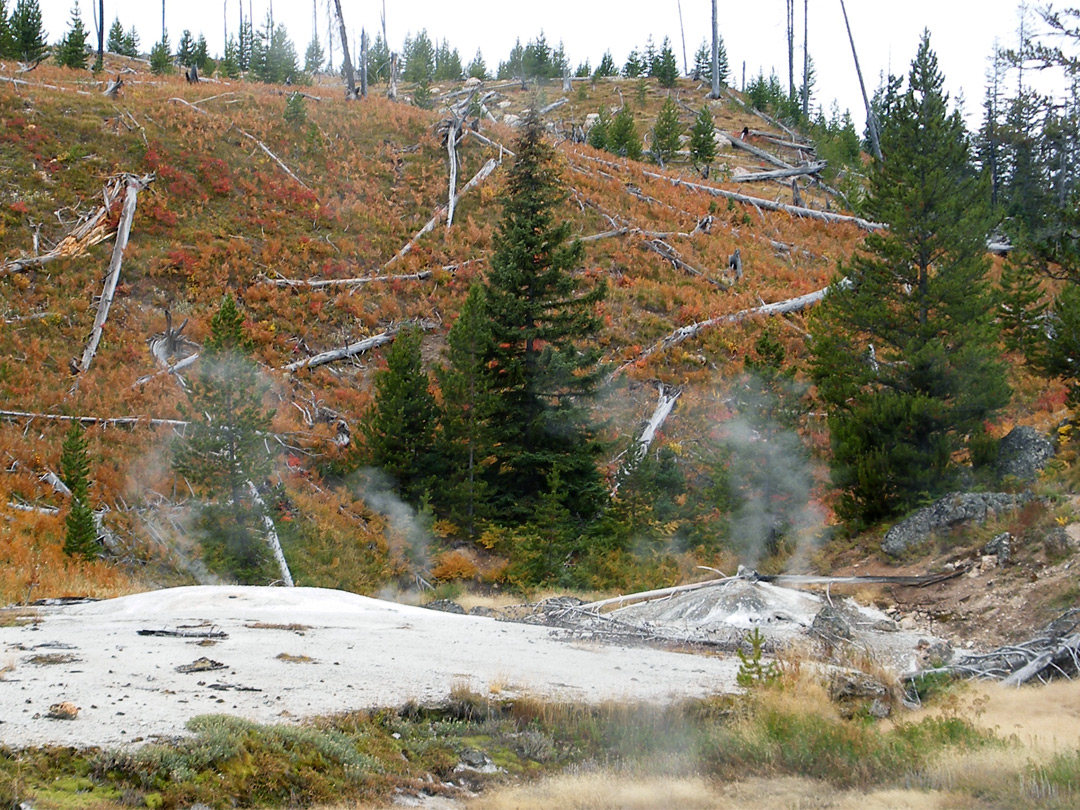 Spike Geyser