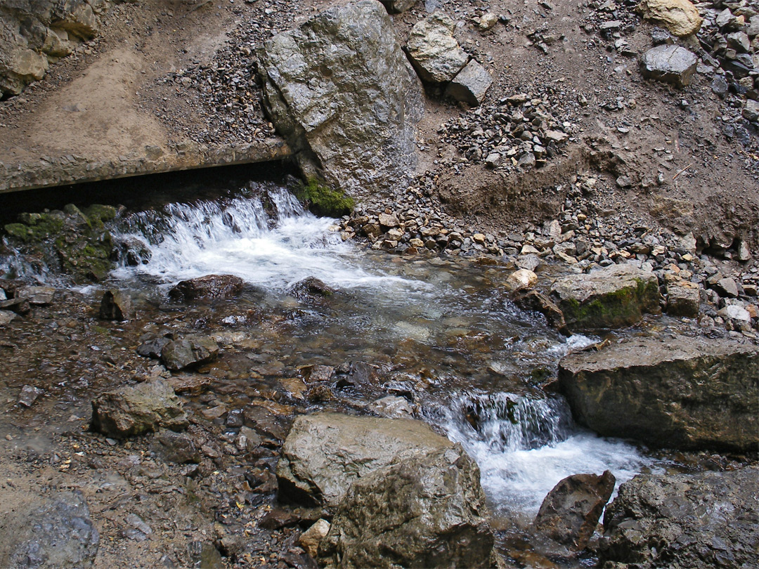 Mouth of the spring