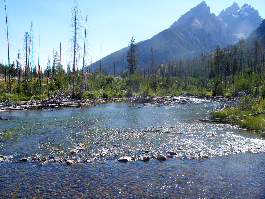 Stream from String Lake