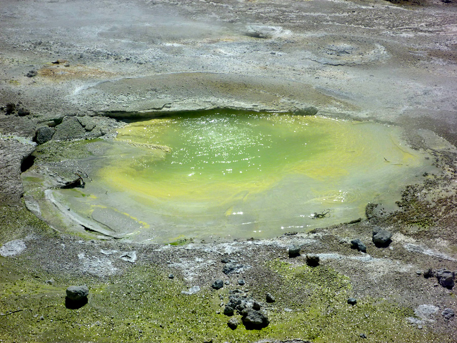 Yellow-green pool