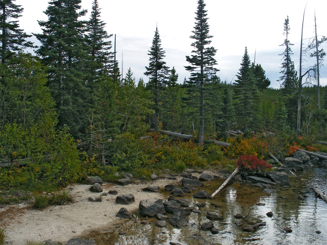 Edge of Taggart Lake